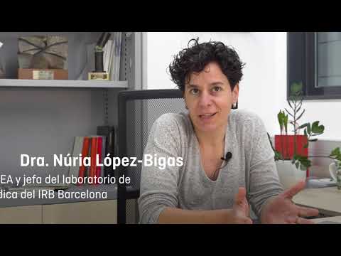 Nuria Barcelona Consulate: Location, Information & More